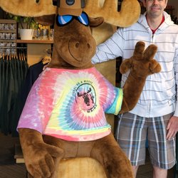 Cool As A Moose