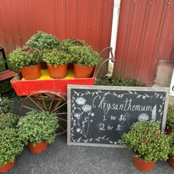 Robb Farms