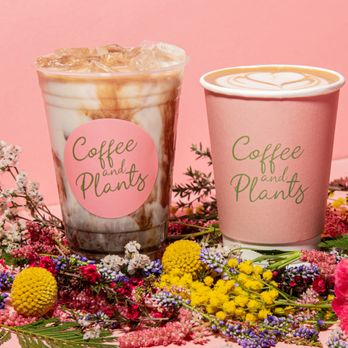 Coffee and Plants - Vanilla Latte - Coffee & Tea Near Me - Studio City, California