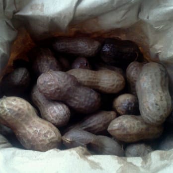 Bama Nut Shop - Boiled peanuts. - Specialty Food Near Me - Brundidge, Alabama Bama Nut Shop - Boiled peanuts. - Specialty Food Near Me - Brundidge, Alabama