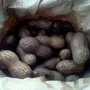 Photo of Bama Nut Shop