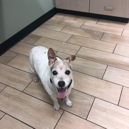 Happy patient Riley
