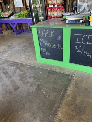 Brosi's Sugartree Farms by null