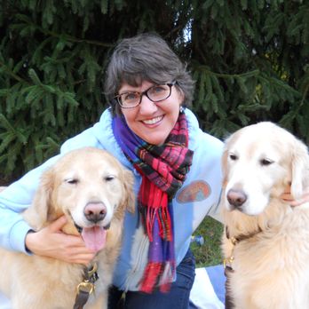 Sarah's Pet Care - Dog Walkers Near Me Sarah's Pet Care - Dog Walkers Near Me