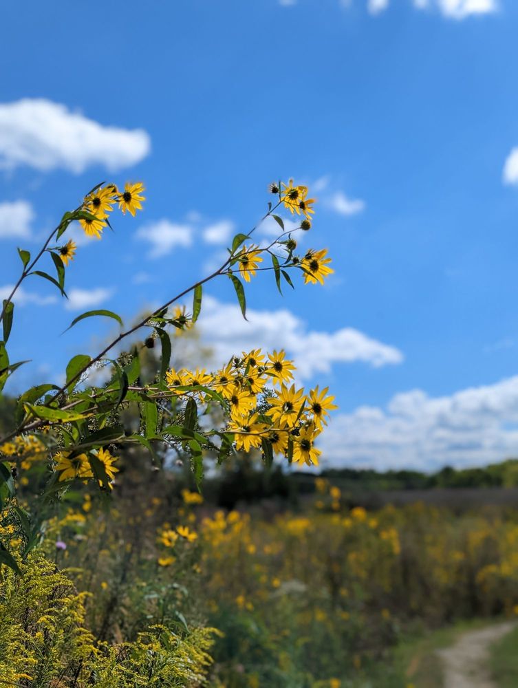 Sugarcreek Metropark
