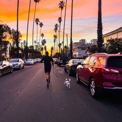 Morning runs