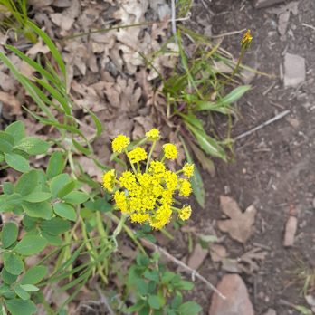 Wasatch Mountain State Park - Parks Near Me
