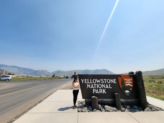 Roosevelt Arch by null