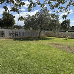 Ewa Beach Dog Park - Big dig section