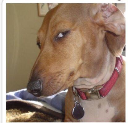 Robbinsdale Cooper High School by null