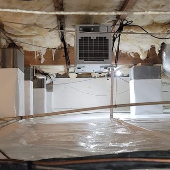 Scout's Pest Control - Encapsulation with Dehumidifier - Pest Control Near Me - Greenville, South Carolina Scout's Pest Control - Encapsulation with Dehumidifier - Pest Control Near Me - Greenville, South Carolina
