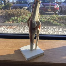 Sportscare Physical Therapy - It's your knee and it's bones and ligaments