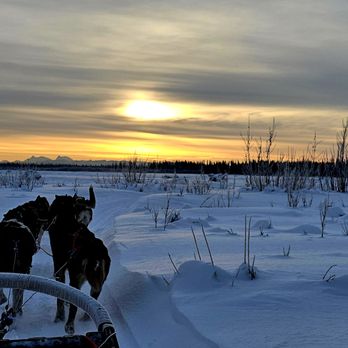 Trail Breaker Kennel - Sledding Near Me - Fairbanks, Alaska Trail Breaker Kennel - Sledding Near Me - Fairbanks, Alaska