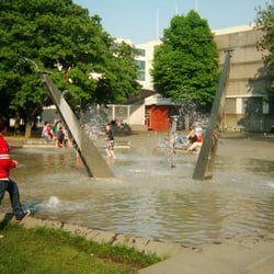 Wasserspiele Vogelschwarm