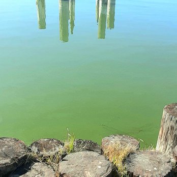 Lake Cunningham Park - Charming - Parks Near Me - San Jose, California Lake Cunningham Park - Charming - Parks Near Me - San Jose, California
