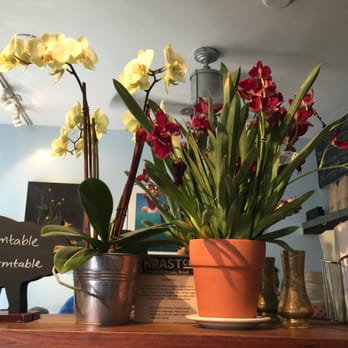 Farm : Table - Coffee & Tea Near Me - San Francisco, California