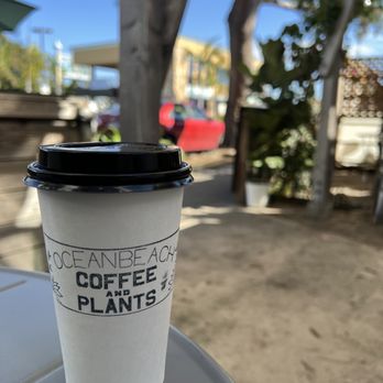 Ocean Beach Coffee and plants - Patio - Coffee & Tea Near Me - San Diego, California Ocean Beach Coffee and plants - Patio - Coffee & Tea Near Me - San Diego, California