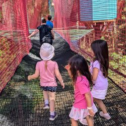 TreeTop Adventure Park