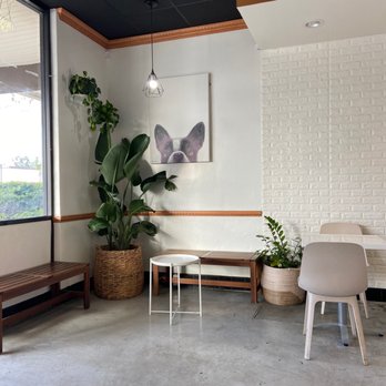 Flat White Coffee - So cute & aesthetic - Cafes Near Me - Cypress, California Flat White Coffee - So cute & aesthetic - Cafes Near Me - Cypress, California