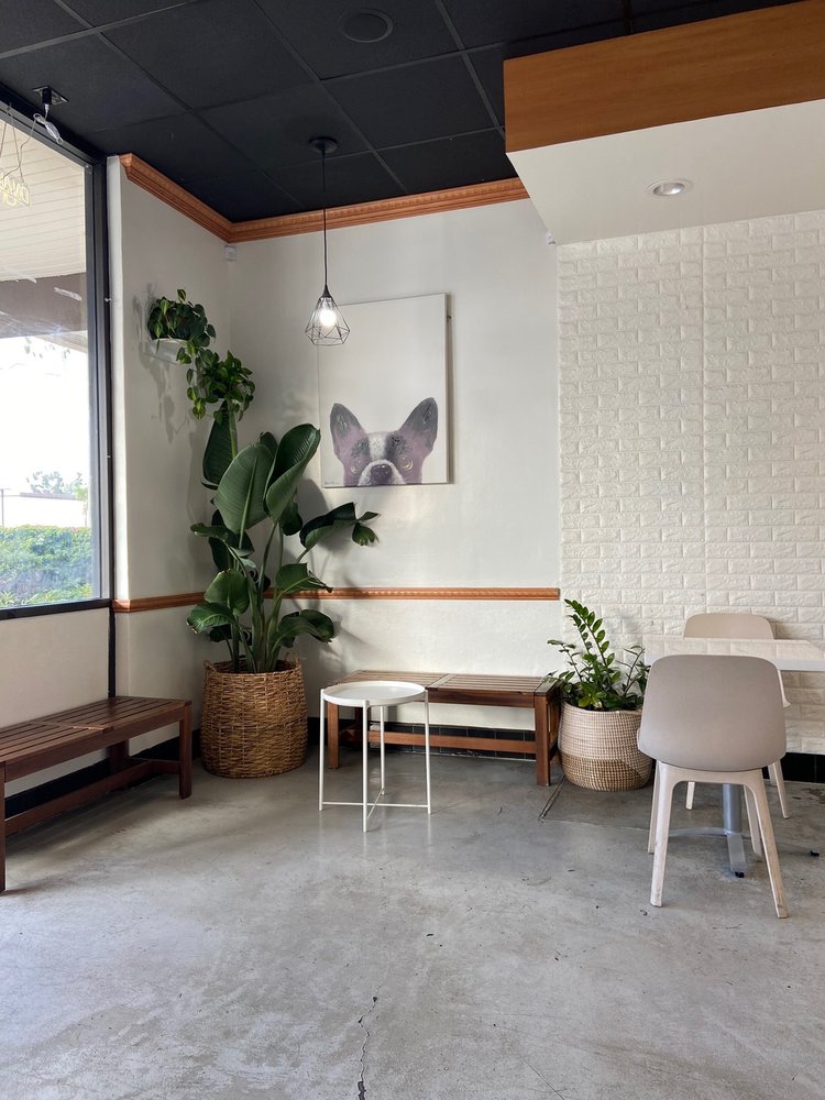 So cute & aesthetic Yelp