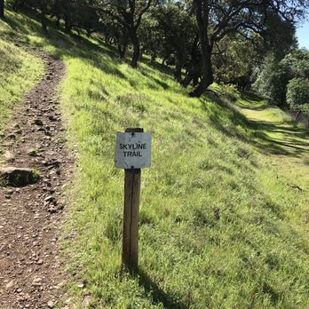 Skyline Wilderness Park - Parks Near Me - Napa, California Skyline Wilderness Park - Parks Near Me - Napa, California