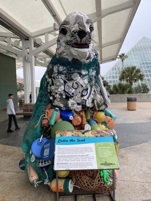 Aquarium At Moody Gardens by null