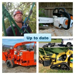 Lee Claxton, ISA Certified Arborist Tree Service - Modern equipment/methods