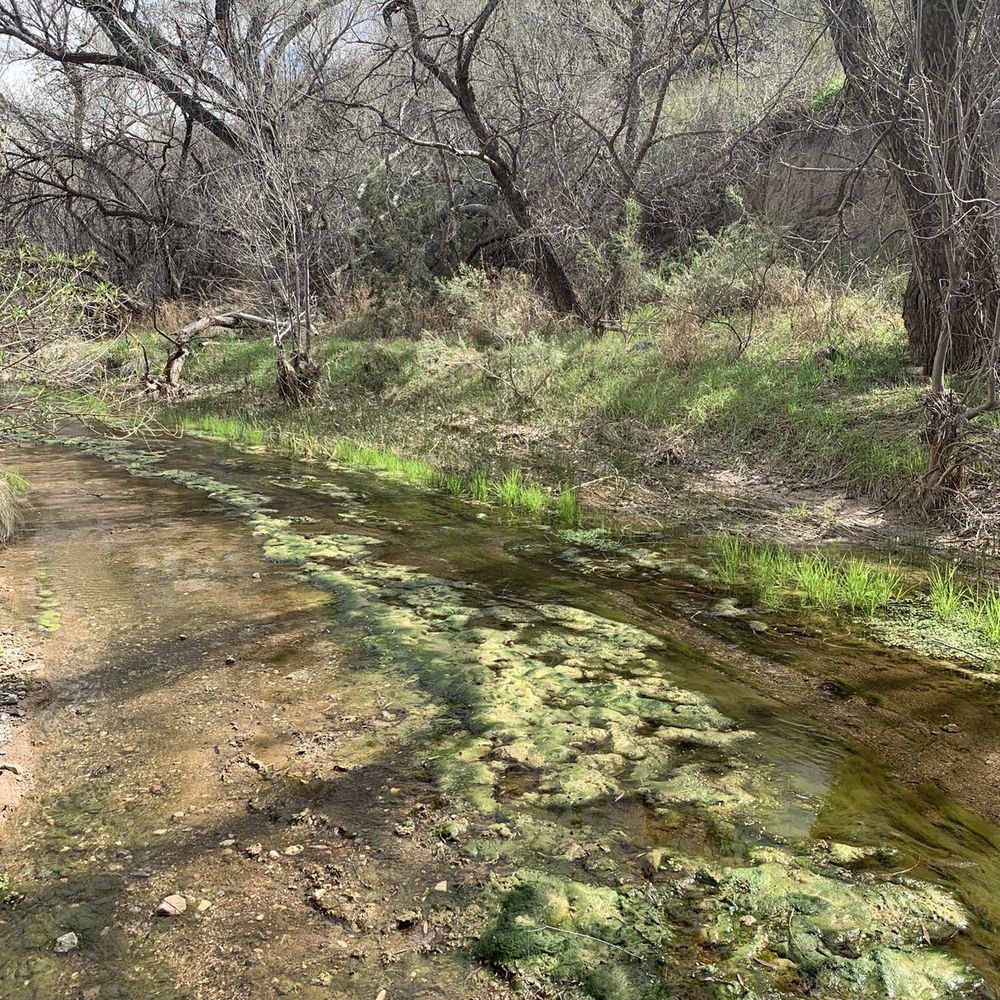 Gabe Zimmerman Davidson Canyon Trailhead - Creek - Hiking Near Me - Vail, Arizona Gabe Zimmerman Davidson Canyon Trailhead - Creek - Hiking Near Me - Vail, Arizona