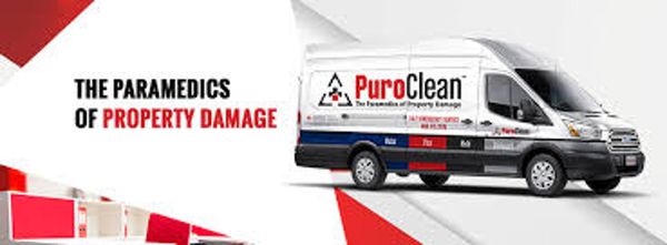 Carpet Care & Restoration