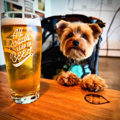 Roadmap Brewing Co. by null