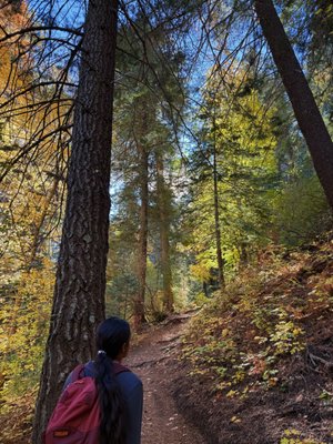 Santa Catalina Natural Area by null