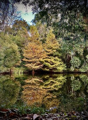 Charles Towne Landing State Historic Site by null