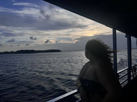 Kitty Hawk Kites by null