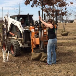 Althouse's Nursery and Landscape - Spring Tree Harvesting!