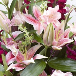 Pot Pourri Flowers