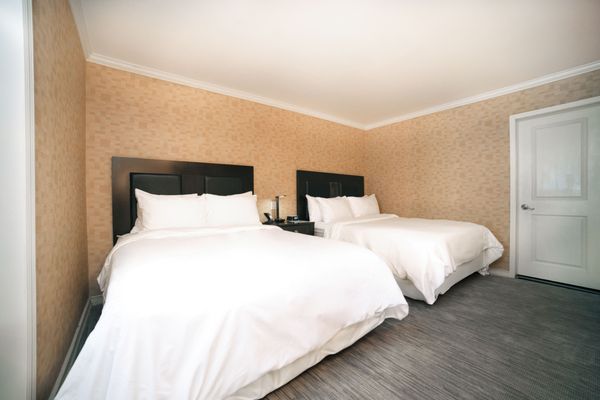Hotel Stanford by null