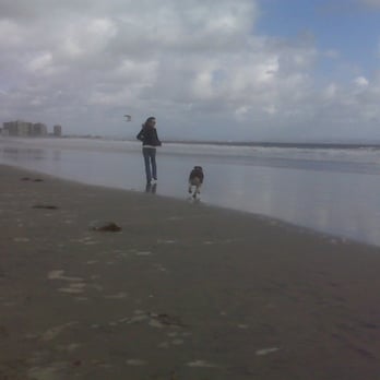 Coronado Dog Beach - running east with my grandma - Beaches Near Me - Coronado, California Coronado Dog Beach - running east with my grandma - Beaches Near Me - Coronado, California