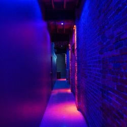 Olympus Discotheque