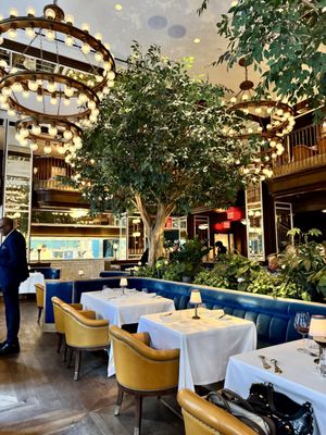 Café Carmellini by null