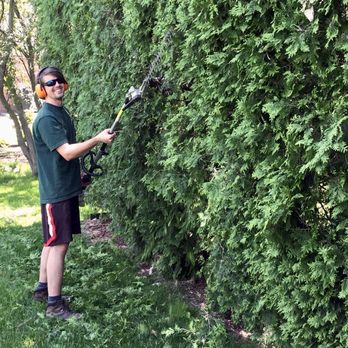 Gecko Tree Care - Tree Services Near Me Gecko Tree Care - Tree Services Near Me