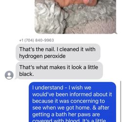 Pawsitively Pampered Pets - It is just upsetting that she was there for a full groom and came home with dried blood in her paw.