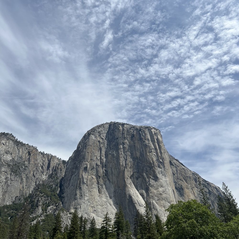 Best Bay Area Tours - Wine Tours Near Me - San Francisco, California