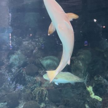 Dive Lounge - Lounges Near Me - Denver, Colorado Dive Lounge - Lounges Near Me - Denver, Colorado