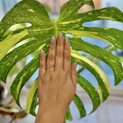 Nails L'amour
