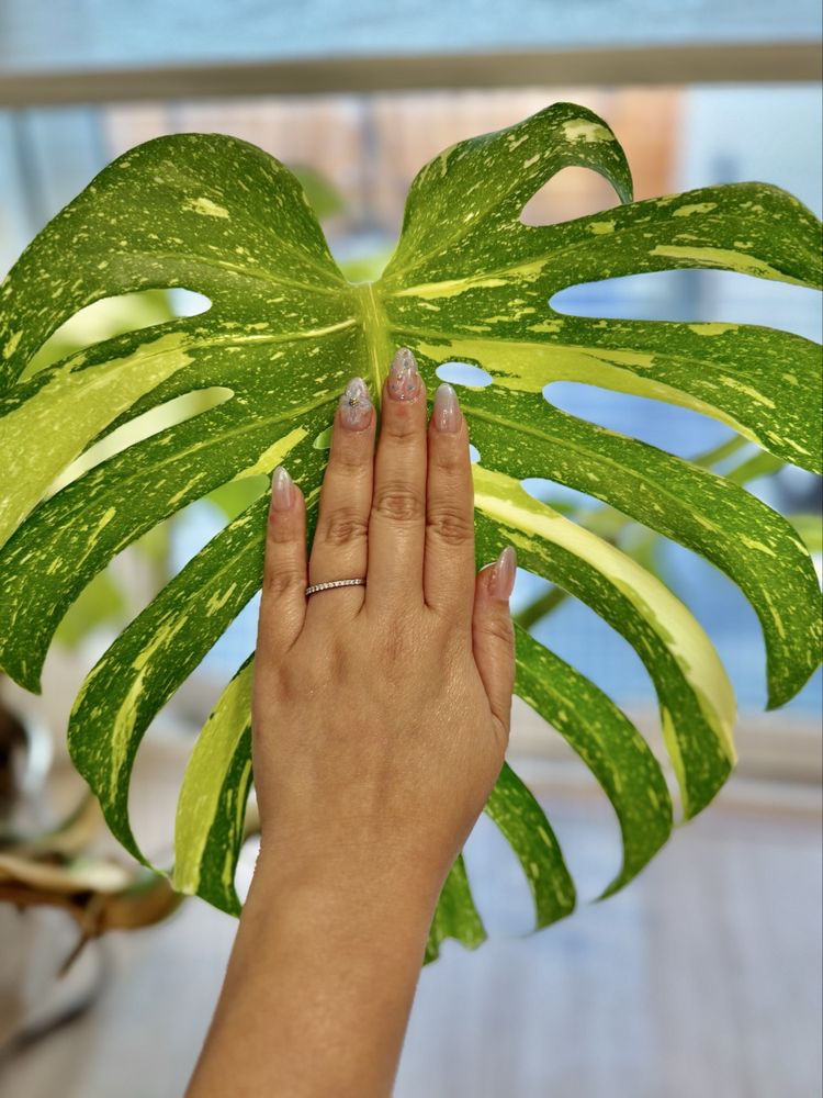 Nails L'amour Logo