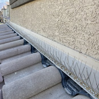 Bingo Window - Bird control - Window Washing Near Me - Las Vegas, Nevada Bingo Window - Bird control - Window Washing Near Me - Las Vegas, Nevada