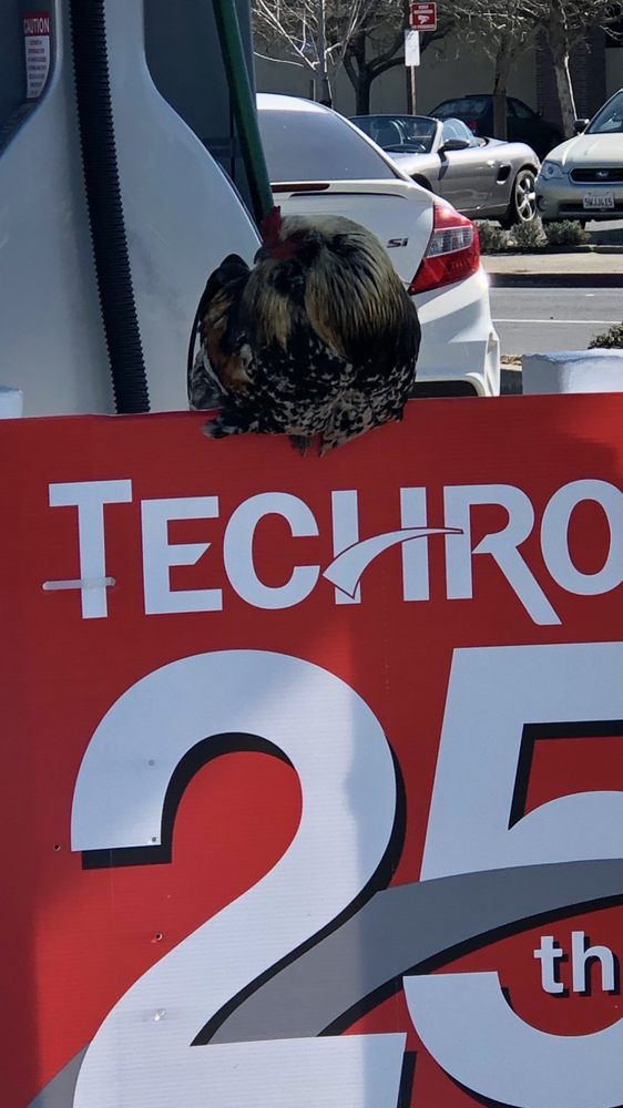 CHEVRON Updated August 2024 10 Reviews 7360 Commerce Blvd