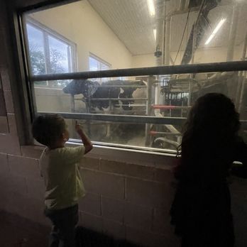 Perrydell Farm and Dairy - Little room where you can see how the cows are milked. - Ice Cream & Frozen Yogurt Near Me - York, Pennsylvania