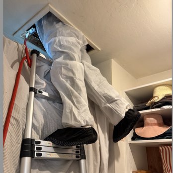 Termite Biz - Pest Control Near Me Termite Biz - Pest Control Near Me