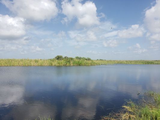 Arthur R. Marshall Loxahatchee National Wildlife Refuge by null